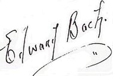 Bach flowers logo