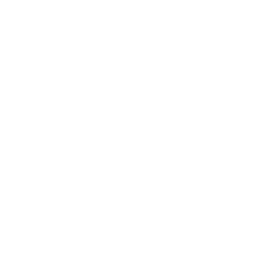 Sauvignon Group logo