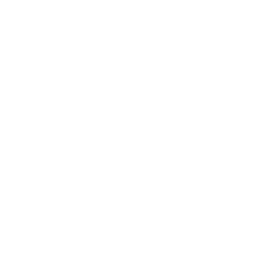 Nilex Consultores logo