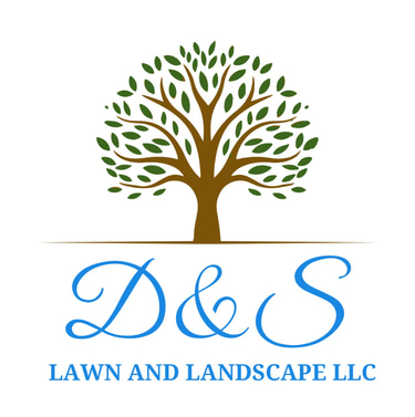 D and S Lawn and Landscape, LLC logo