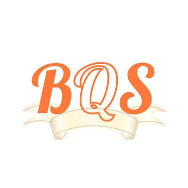 BrightSwan Quality Solutions logo