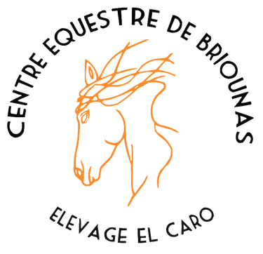 Centre Equestre de Briounas logo