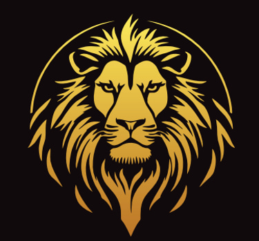 Leo.coach.mentor logo