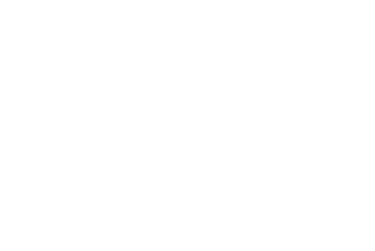Nasheta logo