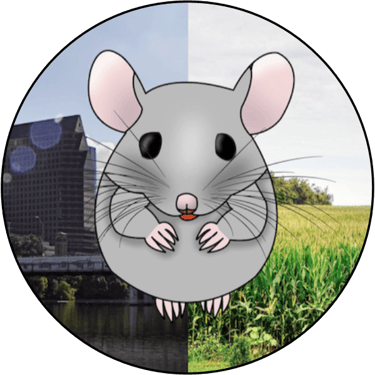 City Mouse Art logo