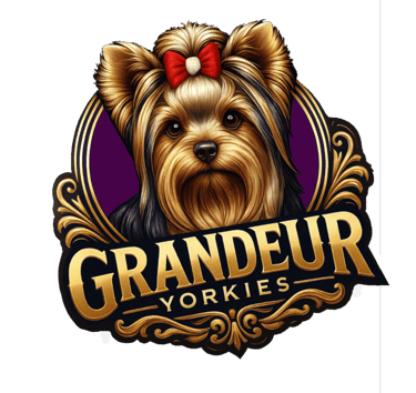 Grandeur Yorkies logo