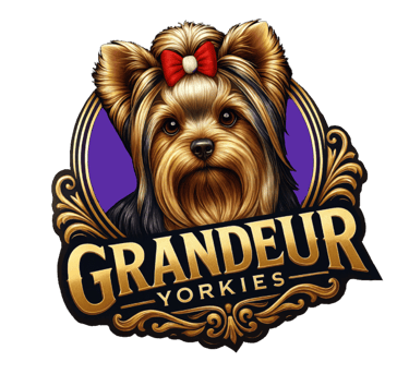 Grandeur Yorkies logo