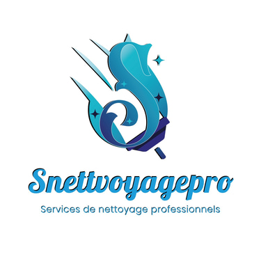snettoyagepro logo