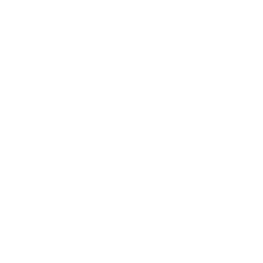Lead club logo