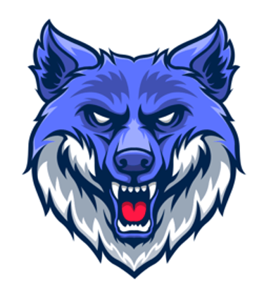 CyberWolfX logo