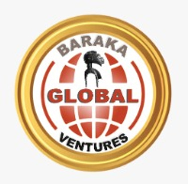 Baraka Global Ventures Inc logo