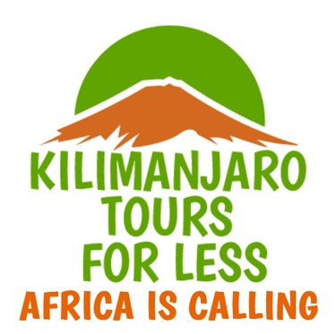 Zimba Tours and Safaris by Zimba Extreme Intl logo