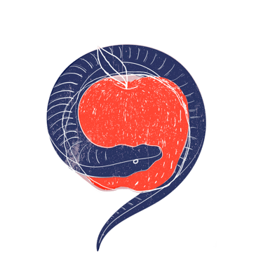 leonelplazasmendieta.com logo