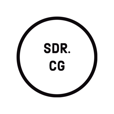 SDR Consulting Group logo