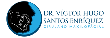 Victor Hugo Santos Enriquez logo