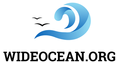 Wideocean.org logo