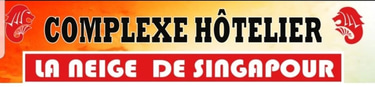 LA NEIGE DE SINGAPOUR RESTO logo