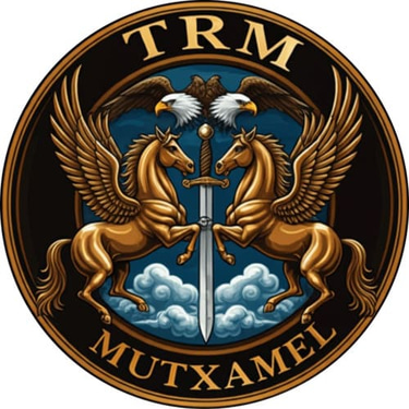 Página Web Avanzada logo