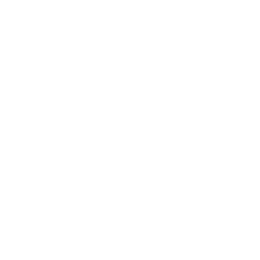 TEMPUS LOGISTICA EMPRESARIAL logo