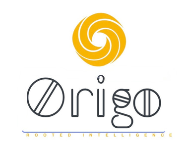 Origo Impact Strategies logo