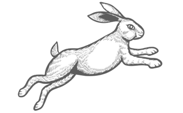 Rachel Jane-Holmes - Artist logo