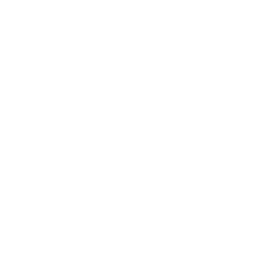 Vinicius Santana logo