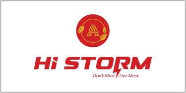 Hi Storm logo