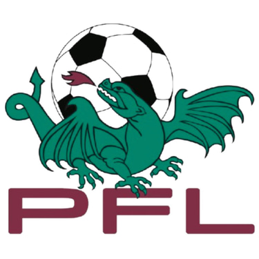 Prienų futbolas logo