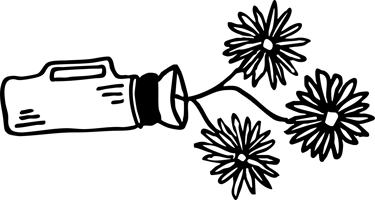 Luca's Video and Photos logo