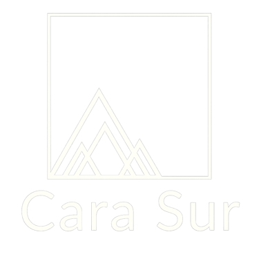 Cara Sur Consultoría logo