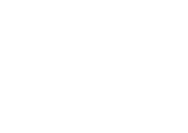 DBris Services logo