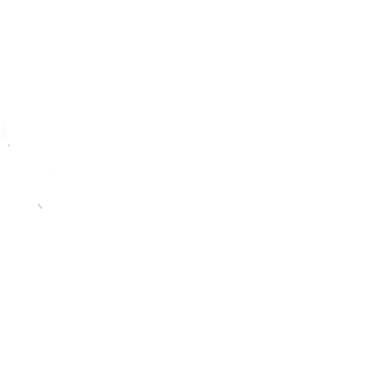 Floresta Jr. - Consultoria Florestal logo