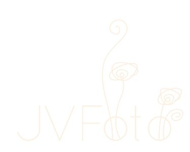 JVFoto logo