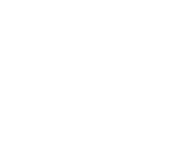 FirstStepSwiss logo