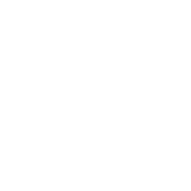 The Branding Studio logo