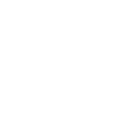 Mudra Trading logo