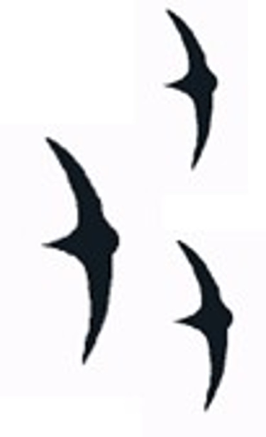 AJR Guitars and Bass Guitars logo