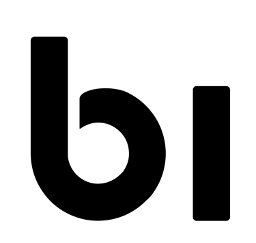 Bi Nguyen Group logo