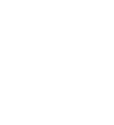 TI AMO logo