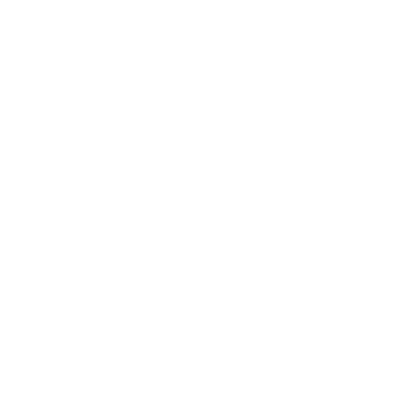 Casa Nikita logo