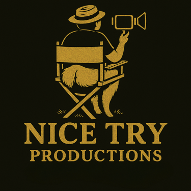 Nice Try Productions logo