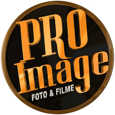 Pro image - Home logo
