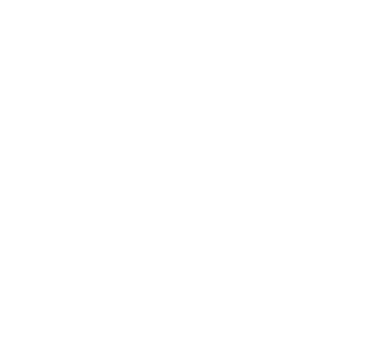 Destined To Win logo
