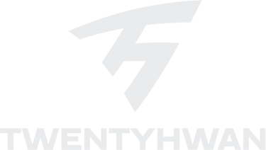 Noé Delaunay logo