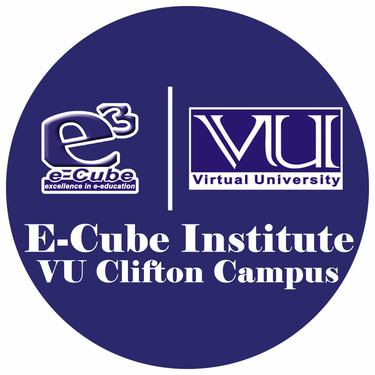 Ecube Institute logo