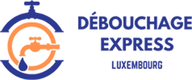 DébouchageFlash logo