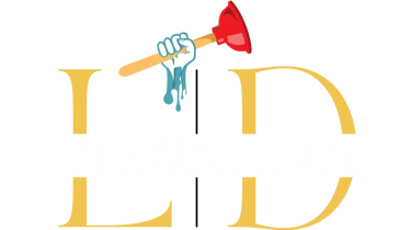 LD DESENTUPIDORA logo