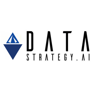 Data Strategy logo