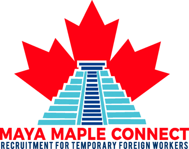 Maya Maple Connect logo