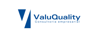 ValuQuality logo
